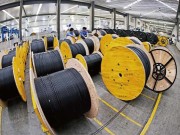 Evolution e Programi di Fibre Optico